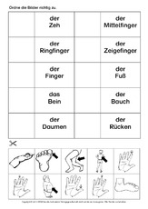 AB-DAZ-Körperteile-zuordnen-3.pdf